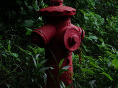 -紫马岭公园