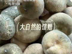 -三锅莊·牦牛肉火锅·香格里拉特色藏餐宴请餐厅(昆明创始店)