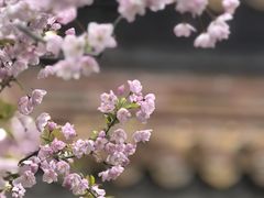 -北京市劳动人民文化宫(太庙)