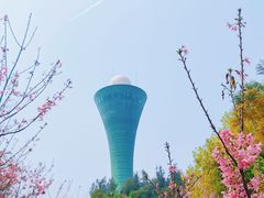 -狐尾山公园
