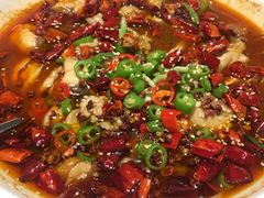 水煮脆鲩鱼片-新旺茶餐厅(嘉里城店)