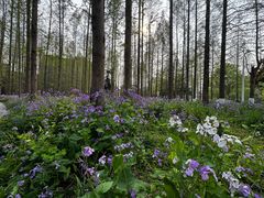 -上海交通大学(闵行校区)