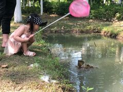 -合肥滨湖国家森林公园