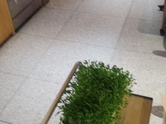 -左庭右院鲜牛肉火锅(南通CBD大有境店)