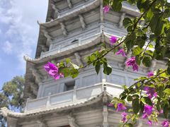 -深圳国际园林花卉博览园