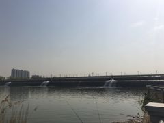 -灞河西岸滨河公园
