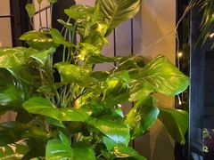 -唐拉雅秀酒店-西锦汇空中BBQ·思创餐厅