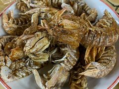 皮皮虾-人和啤酒屋海鲜大排档(营口路店)