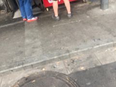 -巴子烤鸭
