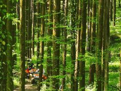 -山王坪喀斯特国家生态公园