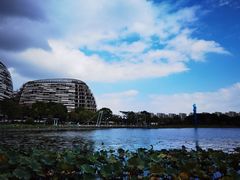 -海天湖公园