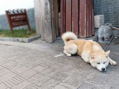 -高淳老街土菜馆(迎薰门店)