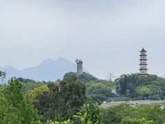 -江心屿景区