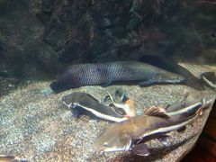 -太平洋海底世界