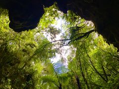 -怀托摩萤火虫洞