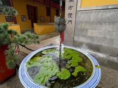 -灵岩山风景区