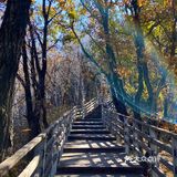 京郊最轻松的一次爬山[调皮]