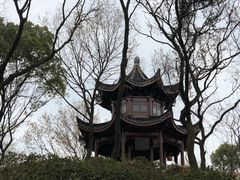 -上海市保健医疗中心(华东疗养院)