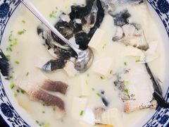 -全乐鱼馆·淳牌有机鱼直营店
