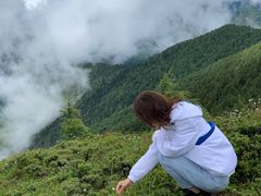 -终南山国家森林公园