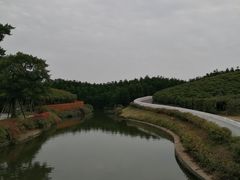 -迪茵湖田家舍生态农场