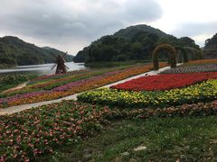 -广州市石门国家森林公园