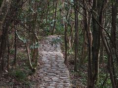 -马峦山郊野公园