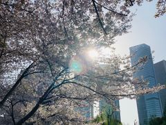 -茶颜悦色(花园道店)