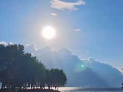 -洱海月湿地公园