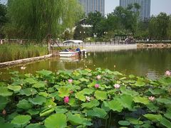 -西海子公园