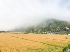 -南泥湾风景区