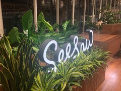 -Seesaw Coffee(朝阳大悦城店)