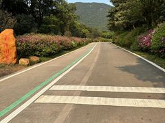 -梧桐山风景名胜区