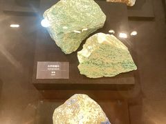 -烟台自然博物馆