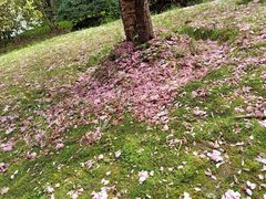 -苏州河梦清园环保主题公园