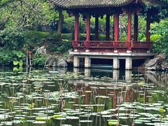 -西湖公园(鼓楼区)