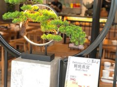 -喜上喜鸡煲翅(吉大店)