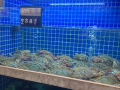 -浙C老邻舍(西城海错店)