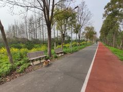 -上海长兴岛郊野公园