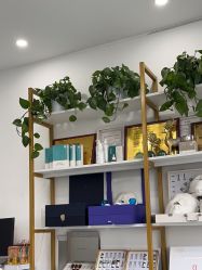 -Dr.Jane皮肤管理中心