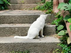 -潮州西湖