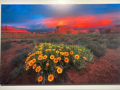 -罗红摄影艺术馆