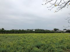 -天适樱花悠乐园