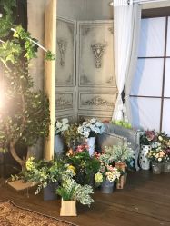 -花开映像儿童摄影