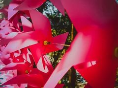 -楠溪江风景名胜区