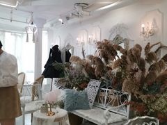 大堂-共舞时光猫咖·狗咖(新街口店)