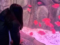 -泉城欧乐堡海洋极地世界
