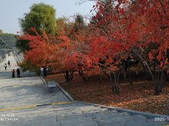 -长春世界雕塑园冰雪艺术天地
