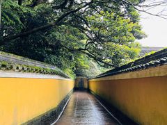 -普陀山慧济禅寺