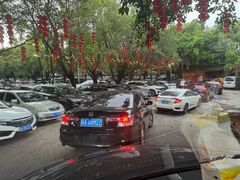 -广州长隆飞鸟乐园